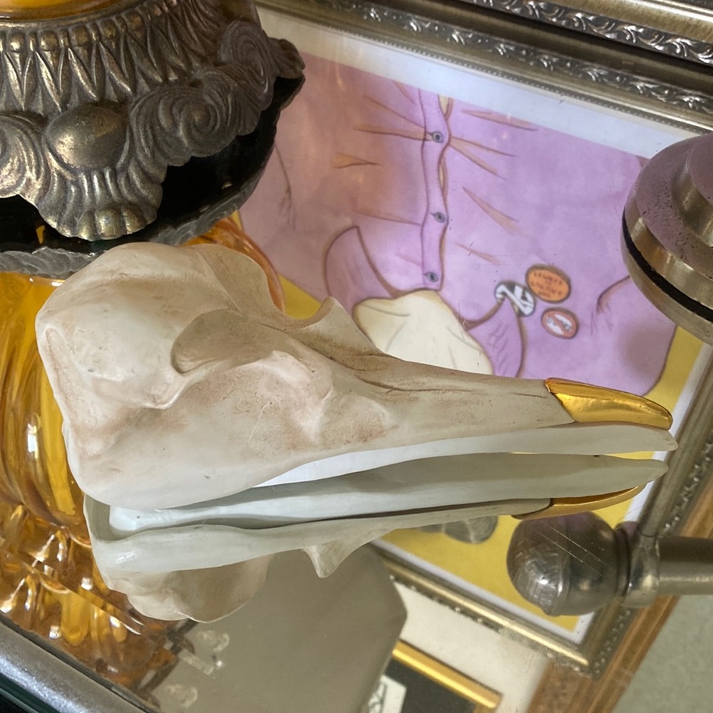 Bird Skull Jewelry Holder